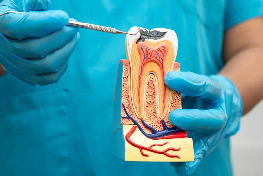 Dental Clinic in Trivandrum