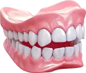 Dental Check ups in Trivandrum